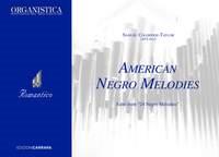 American Negro Melodies