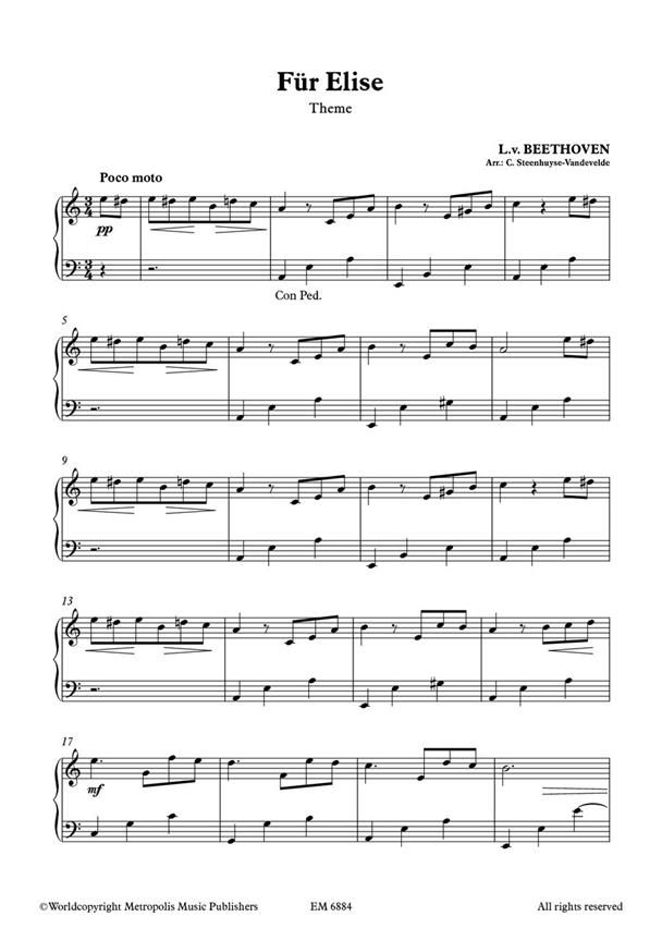 Für Elise - Afbeelding 2