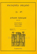 Incognita Organo 45: Krieger Orgelwerken - Organworks