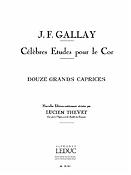 Gallay: Grands Caprices