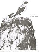 Olivier Messiaen: Catalogue Of Birds for Piano 2