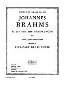 Johannes Brahms: Es Ist Ein Ros'Entsprungen