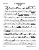 Bach: Brandenburg Concerto no. 4 G major BWV 1049 (Altblokfluit)