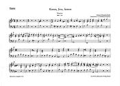 Bach: Motet BWV 229 Komm Jesu Komm (Orgel)