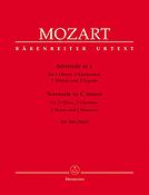 Serenade in c fuer 2 Oboen, 2 Klarinetten, 2 Hörner und 2 Fagotte - Serenade in C minor fuer 2 Oboes, 2 Clarinets, 2 Horns and 2 Bassoons