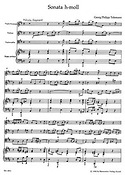 Telemann: Sonate h-moll Fur Flöte, Violine, Violoncello (Viola da gamba) und Basso continuo - Sonata in B minor for Flute, Violin, Violoncello (Viola 