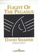 David Shaffuer: Flight of the Pegasus
