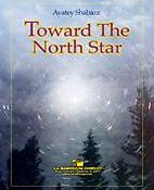 Ayatey Shabazz: Toward the North Star