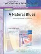 Sandy Feldstein: Natural Blues