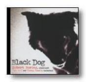 Black Dog