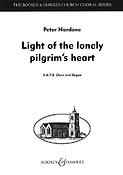 Light of the lonely pilgrim's heart