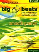 Big Beats Smooth Grooves 