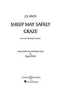 Sheep may safely graze