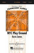 NYC Play Ground