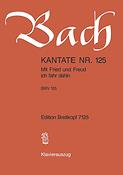 Bach: Kantate BWV 125 Mit Fried und Freud ich fahr dahin