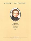 Schumann: Waldszenen op. 82