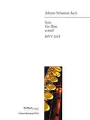 Bach: Solo a-moll BWV 1013  