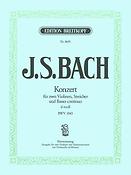 Bach: Violinkonzert d-moll BWV 1043