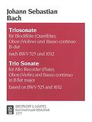 Bach: Triosonate Bes (Nach Bwv525 1032)