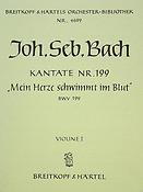 Bach: Kantate 199 Mein Herze schwimm