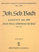 Bach: Kantate 199 Mein Herze schwimm