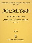 Bach: Kantate 199 Mein Herze schwimm