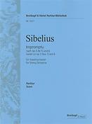 Jean Sibelius: Impromptu
