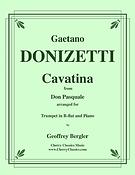 Cavatina from Don Pasquale