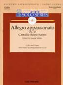 Allegro Appassionato, Op. 43