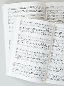 Vivaldi: Das Posthorn Concerto in B RV 363 (Partituur)