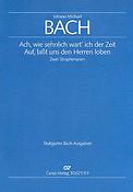 Johann Michael Bach: Zwei Strophenarien (Partituur)