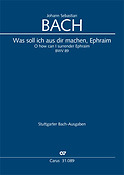 Bach: Kantate BWV 89 Was Soll Ich Aus Dir Machen, Ephraim (Set)