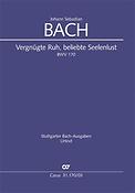 Bach: Kantate BWV 170 Vergnügte Ruh, beliebte Seelenlust (Vocalscore)