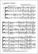 Wandrers Nachtlied