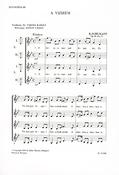 Schumann: A vizirém Op. 91