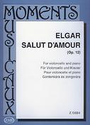 Elgar: Salut d'Amour, Op. 12