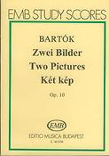 Bartók: Two Pictures