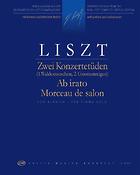 Liszt: Two Concert Studies, Ab irato, Morceau de salon