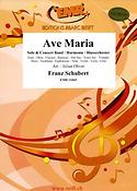 Franz Schubert: Ave Maria (Flute Solo)