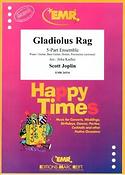 Gladiolus Rag