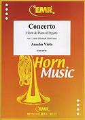 Anselm Viola: Concerto (Hoorn)