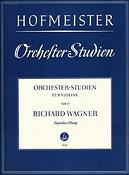 Orchesterstudien for Violine, Heft 17
