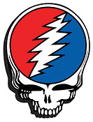 Grateful Dead (Skull Logo) Chunky Magnet