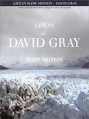 David Gray - Life in Slow Motion