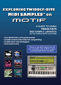 Exploring Twiddly Bits on Motif