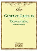 Concertino Op 91