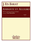 Andante And Allegro