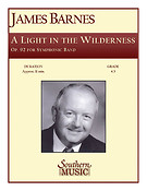 A Light In The Wilderness