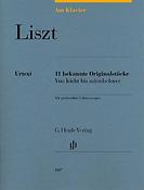 Am Klavier Franz Liszt