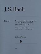 Bach: Triosonate Und Canon Perpetuus Aus Dem Musikalischen Opfuer